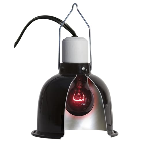 Zoo Med Nightlight Red Bulb for Reptiles 60 Watts Pack of 2