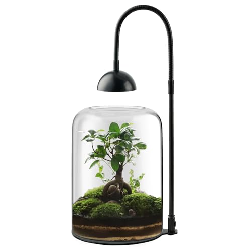 Glass Plant Terrarium, LED Grow Light, Adjustable Ventilation | 8.2" borosilicate body, US plug adapter and guide, for Venus fly traps, moss and succulents, plants and soil not included