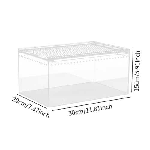 Reptile Breeding Box Terrarium breeding Box Acrylic Construction to Prevent Escapes Removable Basin for Quick Clean-up Suitable for, 30cmx20cmx15cm - size: 30cmx20cmx15cm