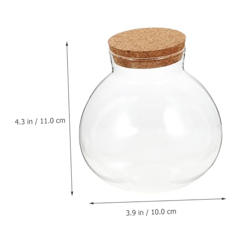 KALLORY Glass Ecological Bottle Terrarium with Cork Stopper, 10X11Cm Micro Landscape Moss Plant Container for Indoor Gardening and Decorative Ecosystem