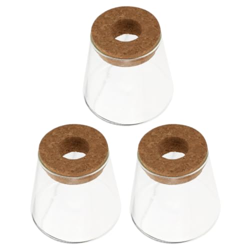 Hemobllo 3pcs Glass Propagation Vase with Wooden Lid for Plants and Flowers, Hydroponic Desktop Plant Terrarium Station Reduces Cleaning Problems, Stylish Home Decor for Office Corners