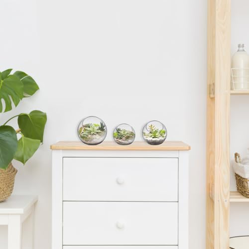 POPETPOP Plant Terrarium Glass Air Plant Holder: 3Pcs Tabletop Succulent Air Plant Planter Glass Succulent Planter Air Plant Vase for Succulent Cactus Plant, 12.00X12.00X12.00CM