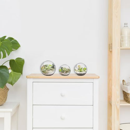 POPETPOP Plant Terrarium Glass Air Plant Holder: 3Pcs Tabletop Succulent Air Plant Planter Glass Succulent Planter Air Plant Vase for Succulent Cactus Plant, 12.00X12.00X12.00CM