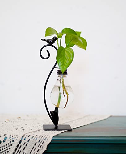 Tabletop Bird Planter Propagation Station, Narrow Mouth Bulb Glass Vase | Thoughtful Gift for Bird Lovers, Hydroponic Vase, Sturdy& Well-Packaged, Home Office Accent, Great for Small Plants& Cuttings - color: Bird