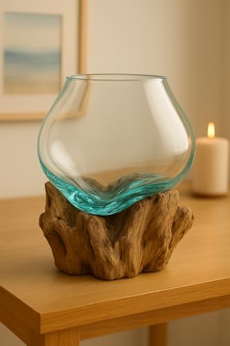 OMA Molten Glass on Driftwood – Hand-Blown Melted Glass Vase, Terrarium, or Planter for Coastal & Boho Home Décor (6"–7" High) - size: 6" High