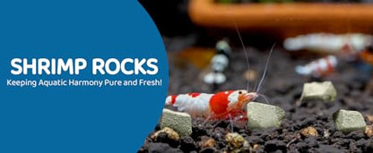 Calcium & Magnesium Rocks for Aquarium | Enhances Shell Strength & Color for Shrimp, Snails, Crabs & Crayfish | Biofilm Surface | Ideal for Soft Water Tanks 2 OZ