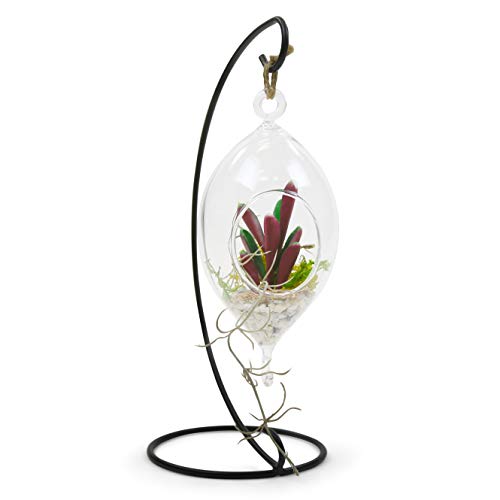 WGVI WGV Hanging Terrarium, Width 3.5", Height 7", Oblong, Double Hook, DIY Air Succulent Planter, Clear Glass Vase Orb, Candle Holder for Windowsill Outdoor Garden Decor, 1 Piece - size: 7" Oblong Double Hook