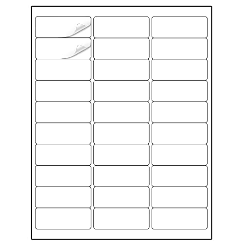 Methdic Address Labels 1" x 2-5/8" 3000 Labels Sticker Paper for Laser/Ink Jet Printer Mailing Labels 8.5"×11" White 30 per Sheet - size: Rectangular 1" x 2-5/8", style: 100 Sheets