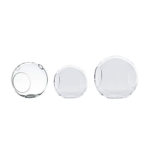 WGV Planter Terrarium Bulk, Width 8" Height 8", Clear Round Glass Vase Container with Two Side Opening, DIY Air Planter, Votive Candle Holder for Decor, 6 Pieces - size: 8" Double Opening