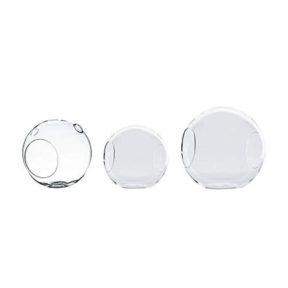 WGV Planter Terrarium Bulk, Width 5.5", Height 8", Clear Unique Pear Glass Vase Conatiner, DIY Planter Votive Candle Holder for Home Office Garden Decor, 6 Pieces - size: Pear