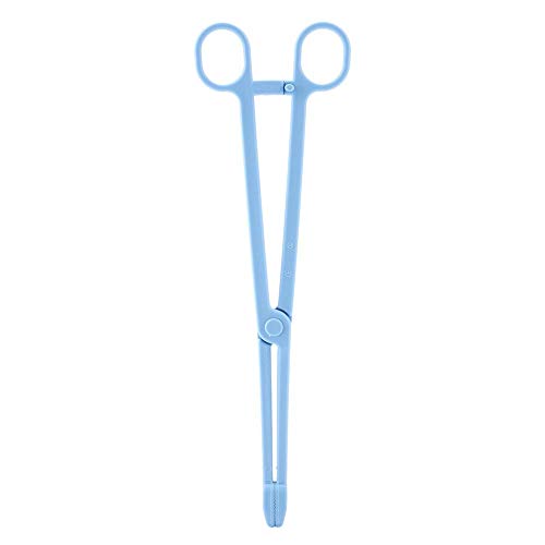 HEEPDD Reptile Feeding Tongs 9.64 Inch Stainless Steel Tweezers for Bearded Dragon Lizard Snake Supplies Accessories