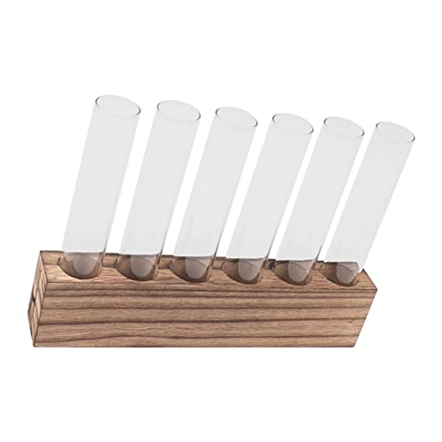 Pssopp Plant Propagation Station Glass Test Tube Plant Terrarium with Wooden Stand for Home Decor Office Living Room Garden (6 Tubes) - size: 6 Tubes