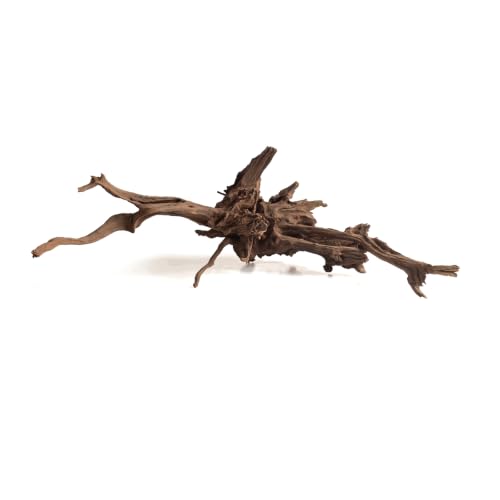 emours Natural Aquarium Driftwood, Horizontal Root Style Wood for Fish Tank Decor, Unique Driftwood for Aquascape, Terrarium and Reptile Display (8-12" (20-30 cm)) - size: 8-12" (20-30 cm)