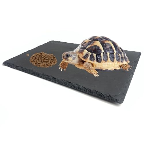 SHIGATSU 7.8"x11.8" Slate Reptile Basking Platform for Turtle Lizard | Natural Anti-Slip Slate Feeding Dish, Resting Terrace & Substrate Mat for Bearded Dragon, Gecko, Snake & Tortoise Habitat