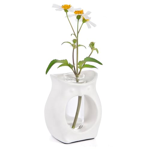 2-in-1 Ceramic Plant Propagation Station with Glass Jars, Owl Planter & Air Plant Holder, Avocado Seed Starter Vase for Indoor Plants, Home Office Decor Gift for Plant Lovers - color: White Owl