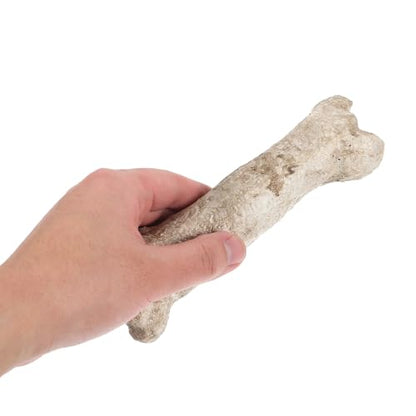 TOYANDONA Resin Reptile Hideout Cave Shelter Bone Decor Small Portable Hiding Place for Reptile Terrarium Tank Habitat