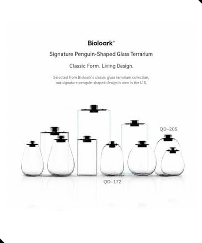Bioloark QD-172 Penguin-Inspired Glass Terrarium with LED Grow Light, 6.9" x 9.1", 4.1L Bio Bottle Moss Terrarium for Plant Display, Ferns, and Miniature Landscapes - color: QD-172 (6.9 "X9.1")
