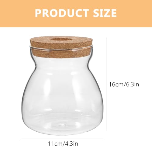 Glass Terrarium Jar for Succulent Plants with Hydroponic Hole Lid, Medium Trapezoid Glass Container for Indoor Mini Ecosystem and Plant Propagation