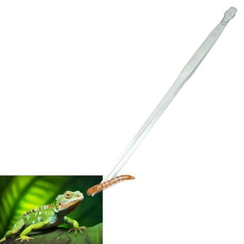 18.9 inch Aquarium Tweezers with Hanger, 2025 New Extra Long Feeding Tongs, Stainless Steel Large Aquascape Tools for Fish Tank, Terrarium，Aquascaping, Reptile Snake (Straight) - size: 18.9inch, Straight