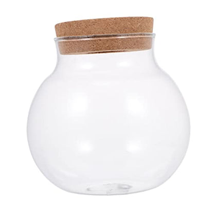 Abaodam Glass Terrarium for Plants Home Decoration Bottle Lid for Landscape Office Decor and Fish Keeping Container - size: 12X10X10CM