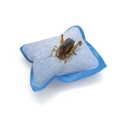 40 Pack Reptile Food Water Pillow Feeder Water Pillows Put in Reptile Enclosure or Tank for Reptiles Frogs Hermit Crab