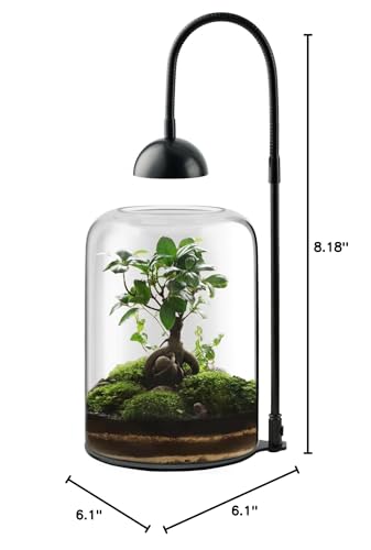 Glass Plant Terrarium, LED Grow Light, Adjustable Ventilation | 8.2" borosilicate body, US plug adapter and guide, for Venus fly traps, moss and succulents, plants and soil not included