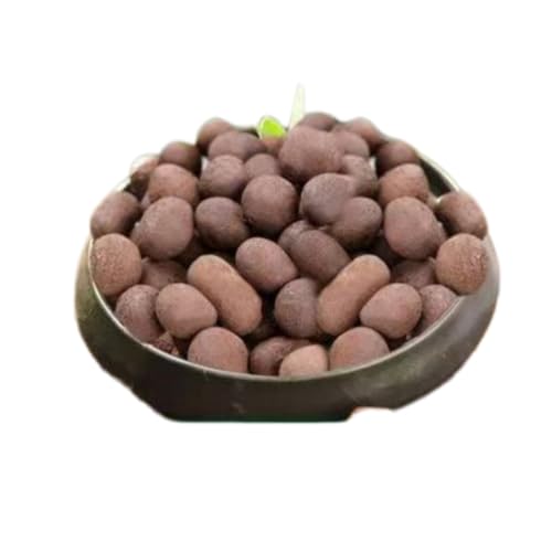 Hydroponics Clay Pebbles Lightweight Ceramsite Water Retention Porous Balls - color: 2 lb, size: Large (15-30mm)