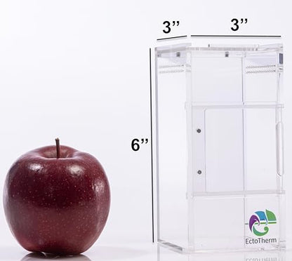 EctoTherm Jumping Spider Enclosure for Spiders, Tarantulas, Praying Mantis - size: Small