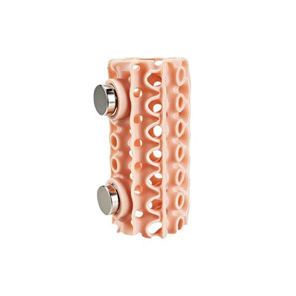 Magnetic Jumping Spider Hide – Jumping Spider Accessories, 3D Printed Cave Climbing Tunnel for Tarantula Geckos and Small Reptile Habitats
