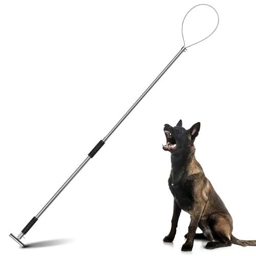 Dog Catcher Pole 61 Inches, Animal Catch Pole Heavy Duty | Stainless Steel Catch and Release Pole for Cats, Dogs, Hogs, and Pigs, Animal Control Tools