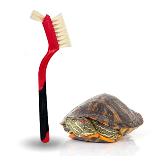 Turtle Cleaning Brush - Gently Remove Dirt from Turtles and Tortoises - Red by Snout and Shell - color: Red