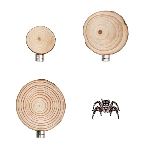 Jumping Spider Accessories, 3 Pack Wooden Ledges with Magnets, Natural Pine Spiders Ledges, Jumping Spider Enclosure Accessories, Magnetic Reptile Ledge