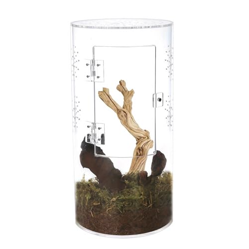 Fockety Tall Arboreal Tarantula Enclosure, Acrylic Reptile Terrarium with Front Opening Door for Jumping Spiders Lizards Snails, 6 x 6 x 12in, 360 Degree Visibility, Secure Latch Design