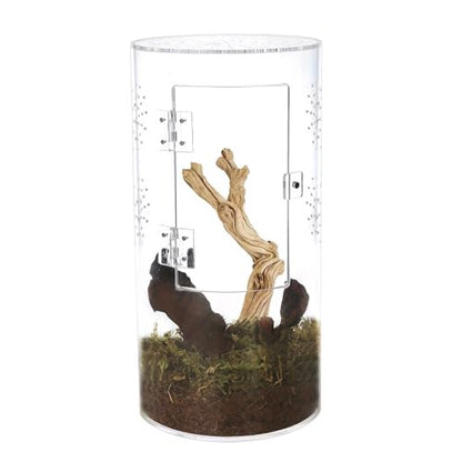 Fockety Tall Arboreal Tarantula Enclosure, Acrylic Reptile Terrarium with Front Opening Door for Jumping Spiders Lizards Snails, 6 x 6 x 12in, 360 Degree Visibility, Secure Latch Design