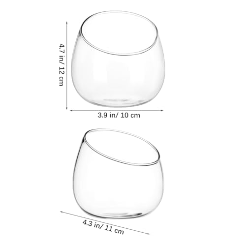 Homoyoyo Clear Glass Terrarium Bowl Vase Slanted Mouth Decorative Bowl for Succulents Moss Air Plants Small Indoor Planter for Desks Bookshelves Home Centerpieces 4.72 X 4.33 X 3.93 in