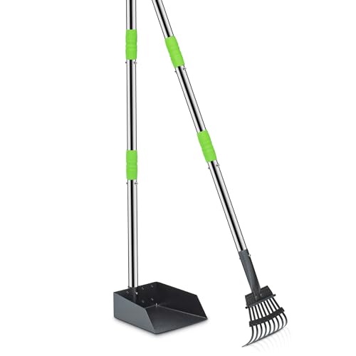 Pooper Scooper for Dogs, Metal Poop Scooper Tray and Rake Set with Adjustable Long Handle, Dog Pooper Scooper for Pet Waste Removal - color: Silver & Green