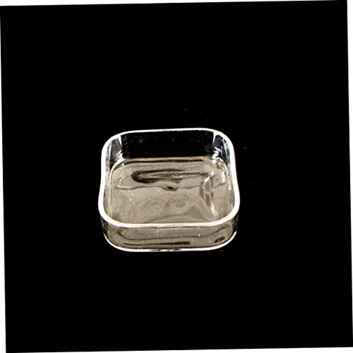 HEMOTON Lizard Feeder Bowl Transparent Glass Pet Feeding Container for Reptiles and Animals for Tortoises Snails and Item Storage Easy to
