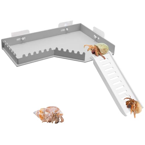 No-Drill Climbing Platform with Ramp, Hermit Crab Climbing Wall & Hideout, Multi-Level Platform with Ladder, No-Tools Mounting for Geckos, Small Lizards, Hamsters, Grey - color: Gray