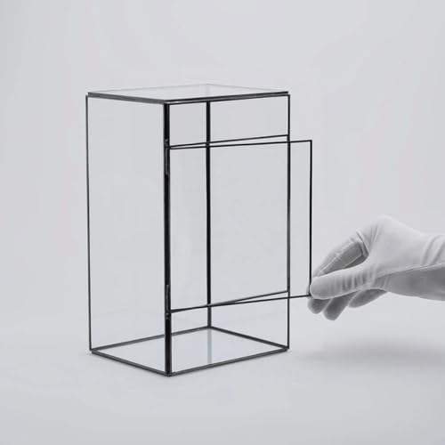 BESTonZON Handcrafted Geometric Glass Terrarium for Succulent Plants Indoor Micro Landscape Planter Box with Moss Ecological Holder Mini Rainforest Ecosystem for Living Room Tabletop Decor