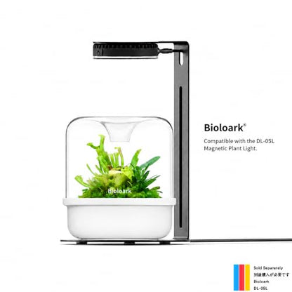 Bioloark MY-150K Glass Plant Terrarium with Ceramic Base, 6.4” x 6.7” White, Moss Terrarium Container with Clear Glass Cover, Ventilation Holes, Moisture Cycle Lid for Ferns, Succulents & Small Plants - color: MY-150K (6.4 "X6.7")White