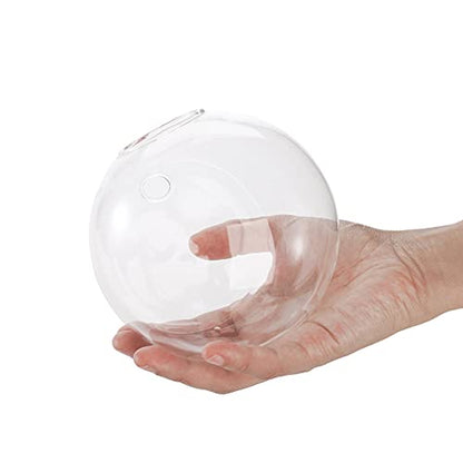 6 Pack Wall Hanging Planters Terrarium, 4.7 Inch Glass Oblate Globe Plants Containers, Wall Mount Clear Flower Vase for Propagating Hydroponics Plants, Air Plants (Plants Not Included)
