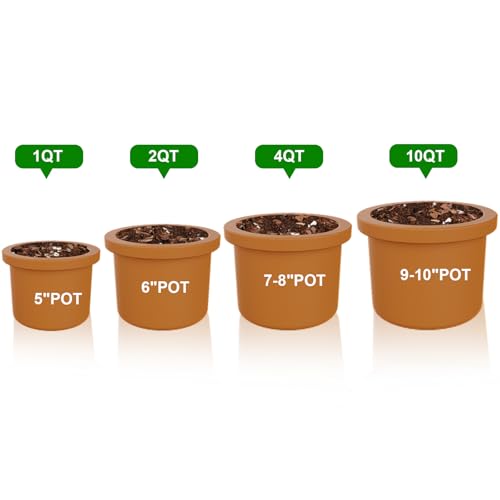 Doter Sphagnum Peat Moss for Plants 2qt, Organic Garden Growing Soil Amendment and Media for Flowers, Vegetables, Herbs, Orchid, Indoor Houseplant - size: 2qt