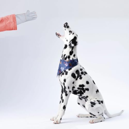 SOLUSTRE 1 Pair Leather Pet Anti-bite Gloves Fire Resistant Oil Resistant Protection Gloves for Hand and Forearm Outdoor Pet Handling