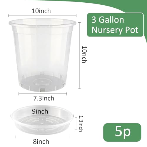 BTPLASTIK 3 Gallon Clear Nursery Pots with Saucers 5P, 10 Inch Round Plastic Plant Pots with Drainage Holes - size: 3 Gallon + Saucers 5P