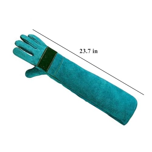 ISMARTEN Bird Animals Anti-Scratch Protective Gloves, Dogs Cats Parrot Training Working Glove - color: Blue