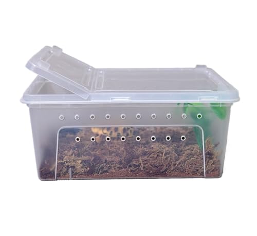 Reptile Breeding Box Reptile Feeding Box Breeding Hatching Container Pet Houses Faunarium(White) - color: White