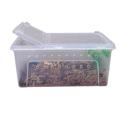 Reptile Breeding Box Reptile Feeding Box Breeding Hatching Container Pet Houses Faunarium(White) - color: White