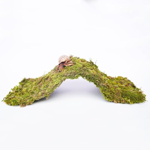 Hermit Crab Climbing Toys, 13.5 inch Bendable Climbing Bridge, Ideal Hermit Crab Supplies for 10 Gallon Hermit Crab Tank