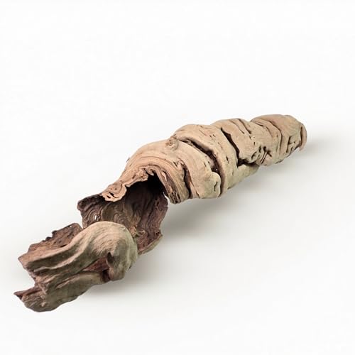 Koyal Wholesale 24" Hollow Grapewood Branch Decor 1Pcs Grapewood Centerpiece Vase Air Plants Sand Blasted Grapevine Wood Untreated Terrarium Wood Driftwood Decor - size: 24 Inches