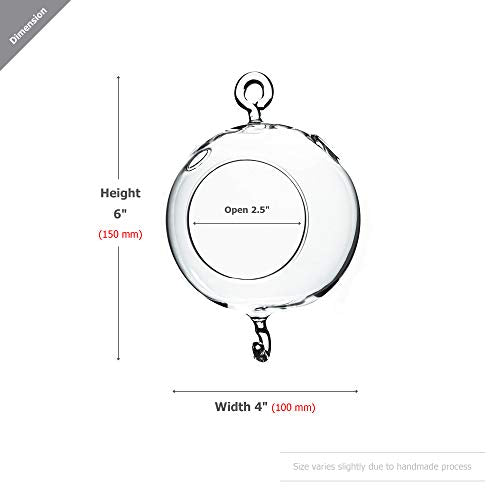 WGV Hanging Terrarium Globe, Width 4", Height 6", Double Hook, DIY Air Succulent Planter, Clear Glass Vase Orb, Candle Holder for Windowsill Outdoor Garden Decor, 1 Piece - size: 4" Double Hook